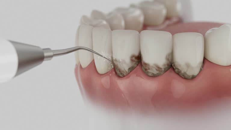 Reliable Dental contractor in St. Paul, MN by Dentist Open Now